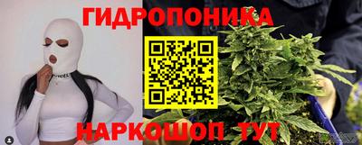 каннабис Кингисепп