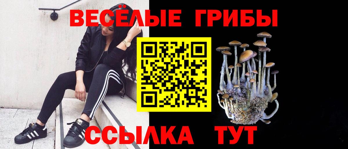 Костомукша  Псилоцибиновые грибы GOLDEN TEACHER  где купить наркоту  Вход с VPN  Галлюциногенные грибы Psilocybe 